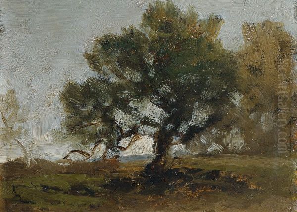 Landschaft - view 1