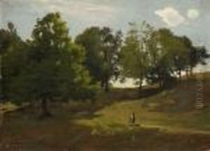 Baumgruppe In Hugeliger
Landschaft. by Ludwig Willroider