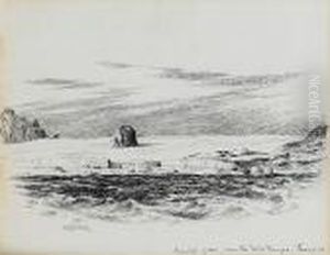 Nunatak Of Rock, Near The Table Ranges