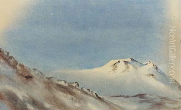 Slopes Of Mount Erebus - view 1