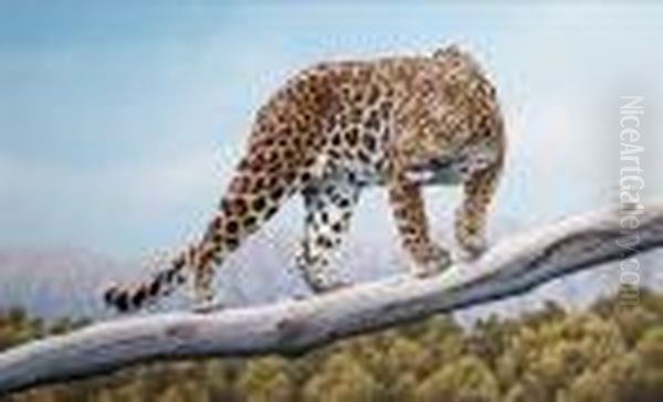 Ruckomechi Leopard - view 1