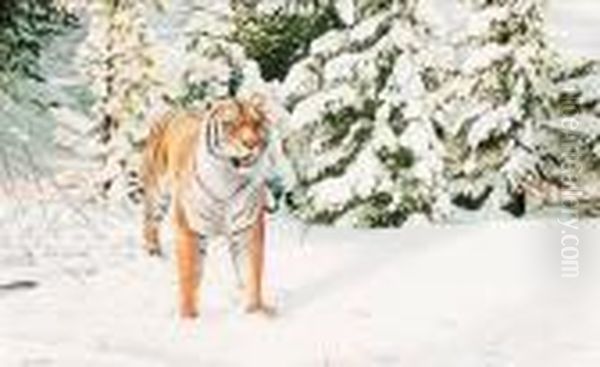 Young Siberian - view 1