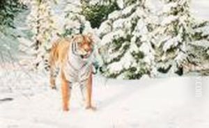 Young Siberian Young Siberian