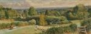Hambledon Common