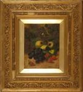 Still Life With Grapes, Apples,
And Strawberries. Signed Lower Right A.c. Macgregor 1898" by Peter MacGregor Wilson