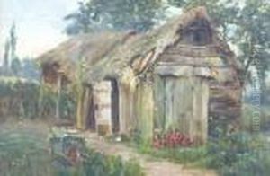 The Garden Shed