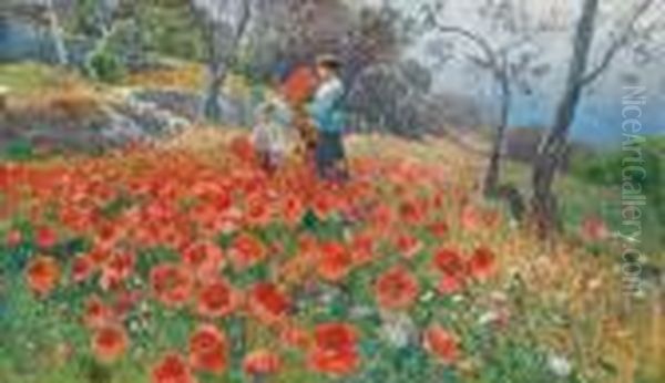 Corn Poppy - view 1
