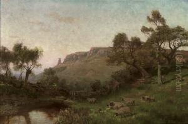 Leckhampton Hill, Gloucestershire - view 1