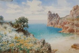 Coastal Scene