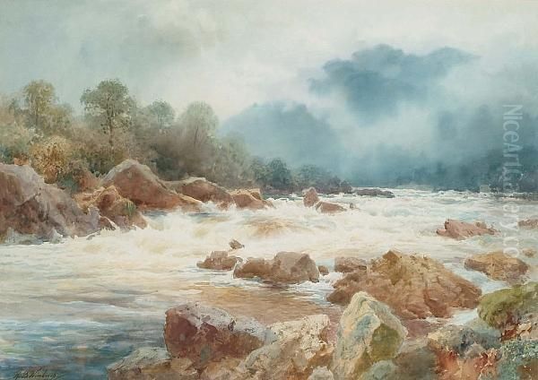 River Rapids - view 1