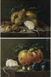 A Still Life With A White Mouse
Eating A Hazelnut, Together With Two Apples, Hazelnuts And Two Prunes,
All On A Stone Ledge by Johann Amandus Winck