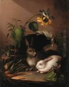 Two Rabbits In An Upturned Basket With A Blue Tit On Asunflower by Johann Amandus Winck