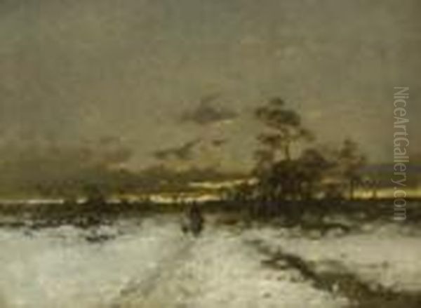 Winterliche
 Moorlandschaft - view 1