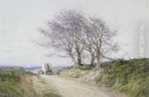 Horse And Wagon On A Countryroad - view 1