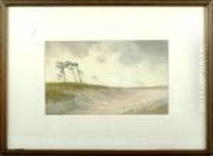 Sandhills, Near Bournemouth Sandhills, Near Bournemouth