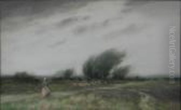 Windy Weather - view 1