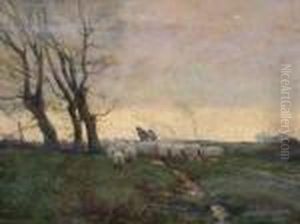 Sheep In A Landscape At Sunset