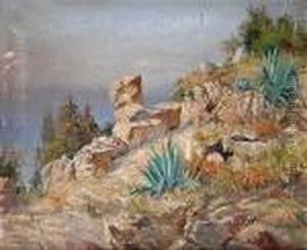Pejzaz - view 1
