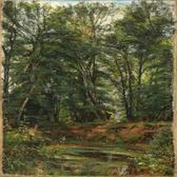 A Forest At Summertime - view 1