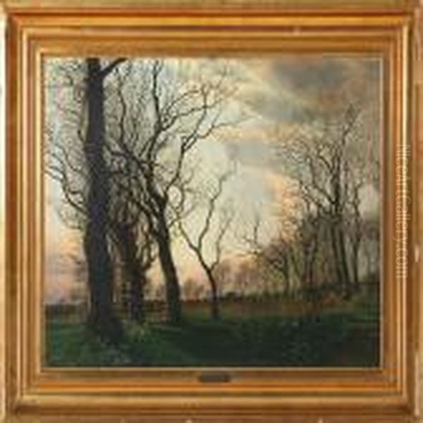 Spring Day In A Forest - view 1