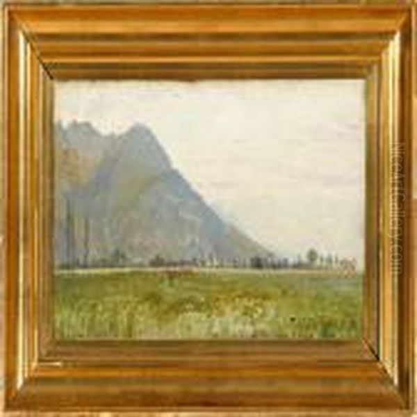 Cows On A Field In A Southern Landscape - view 1