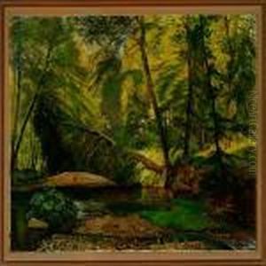 A Spring Forest Scenery A Spring Forest Scenery