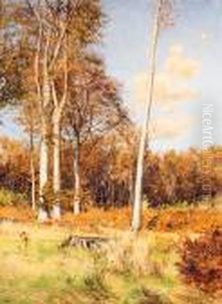 A Woodland Clearing - view 1