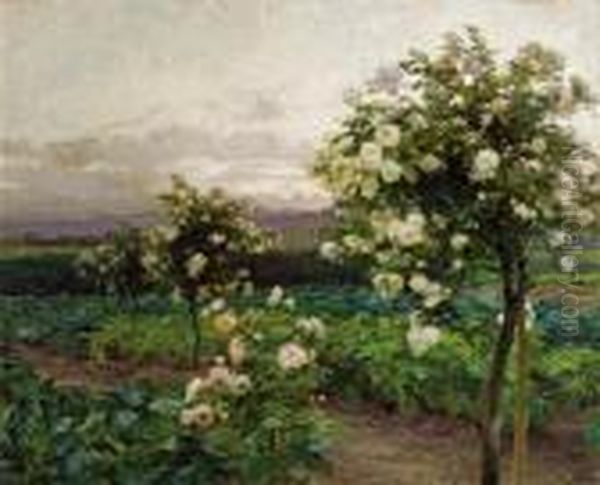 "summer Evening, It Is The Time Of The Splendour Of Roses" - view 1