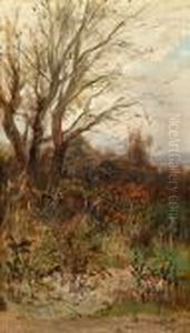 Paesaggio Con Atmosfera Autunnale Paesaggio Con Atmosfera Autunnale