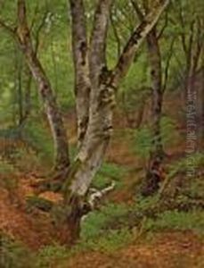 Im Wienerwald Im Wienerwald