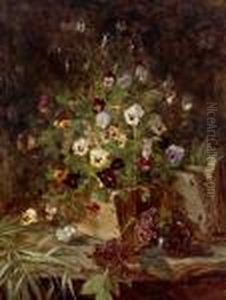 Viola Del Pensiero