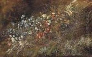 A Bouquet Of Summer Fruits And Flowers On A Mossy Bank by Olga Wisinger-Florian