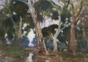 Gums In Twilight by Walter Withers