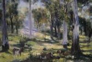 Cattle Grazing In Dappled Light