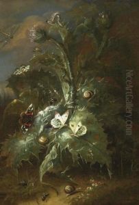Waldstilleben. by Mathias Withoos