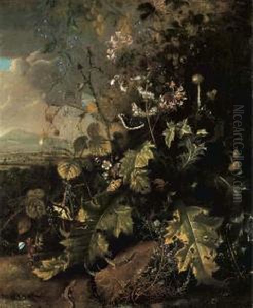 A Forest Floor With Butterflies And Lizards - view 1