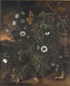Thistles, Brambles, Poppies And
Other Plants, With A Bird's Nest, Afrog, A Lizzard And Butterflies, A
Mountainous Sunset Landscapebeyond Thistles, Brambles, Poppies And
Other Plants, With A Bird's Nest, Afrog, A Lizzard And Butterflies, A
Mountainous Sunset Landscapebeyond