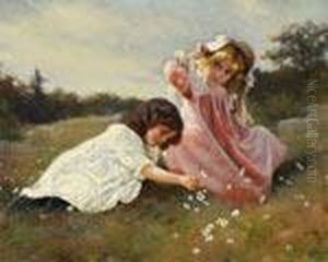 Gathering Daisies