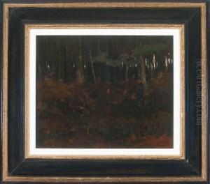 Dichtes Herbstliches Waldinneres by Willem Witsen