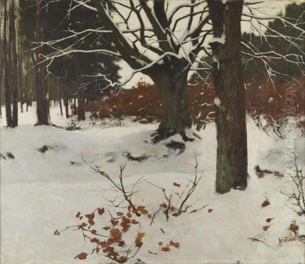 Bos In De Sneeuw - view 1