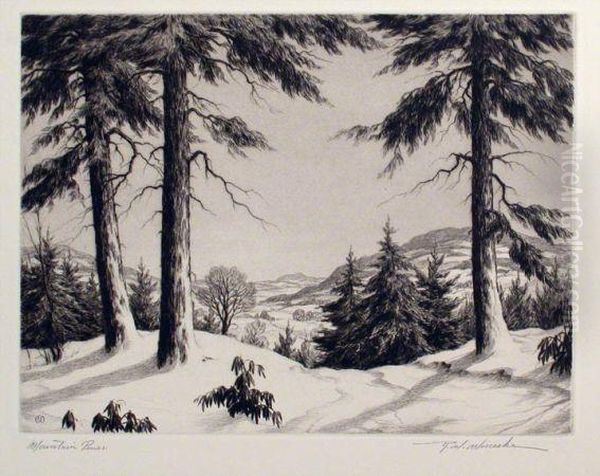 Mountain Pines - view 1