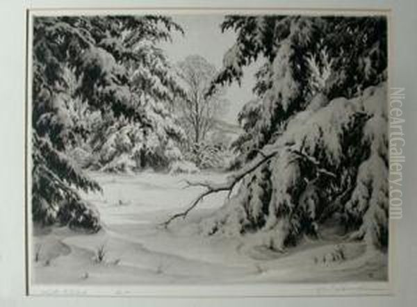 Frozen Stream; Winter Evening; Winter Interlude; Winter Moon;winter Woodland - view 1