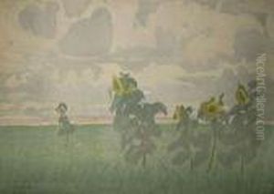 Sloneczniki, Przed 1914 Sloneczniki, Przed 1914