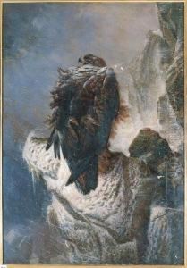 The Proud Bird Of The Mountain The Proud Bird Of The Mountain