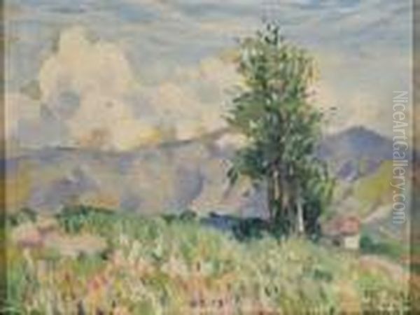 Paesaggio Mattino-maggio 1935 - view 1