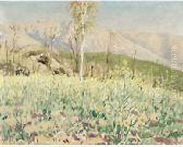 "san Zenone Degli Ezzelini"
Cm. 56x71 - view 1