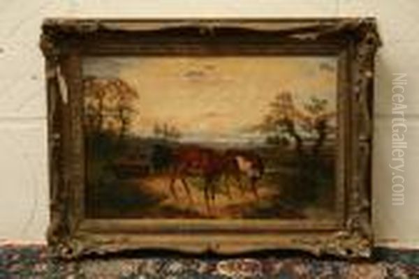 Study Of Cattle At Sunset - view 1