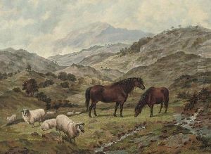 Scotch Ponies And Sheep In A Landscape
