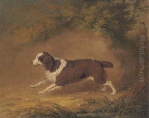 Fanny, A Favourite Spaniel by Dean Wolstenholme, Snr.