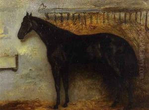 Black Horse in a Stable